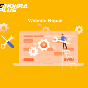 Website Repair & Support